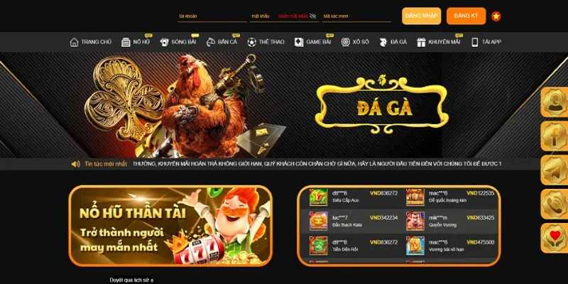 Giới thiệu nhà cái Kubet về sảnh đá gà